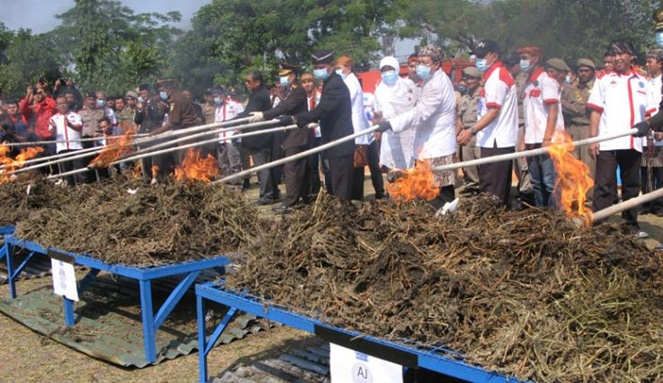 Ilustrasi polisi Indonesia bakar mariyuana (Sumber: https://www.boombastis.com/polisi-indonesia-bakar-mariyuana/208340)